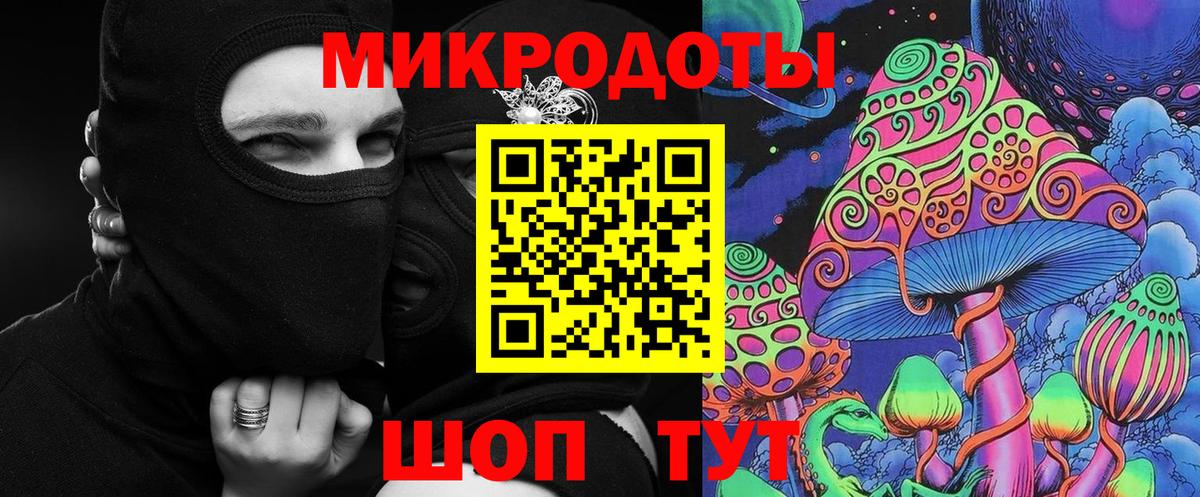 Псилоцибиновые грибы Psilocybe Прохладный