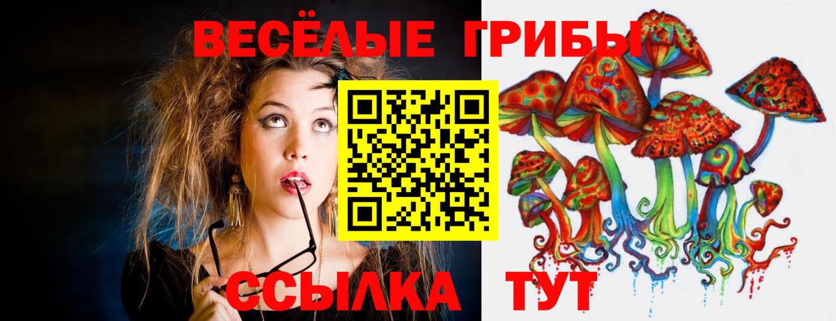 наркотики  Псилоцибиновые грибы мухоморы  Вход с VPN  Прохладный 